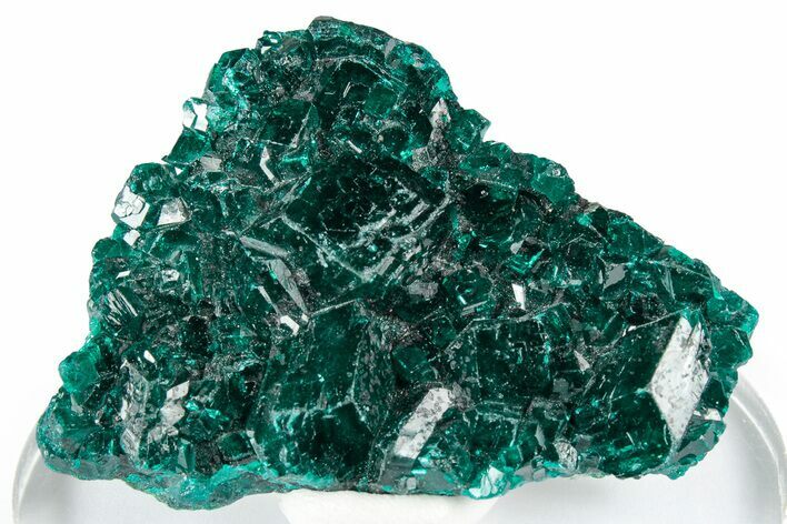 Sparkly Emerald-Green Dioptase Crystal Cluster - Congo #347871